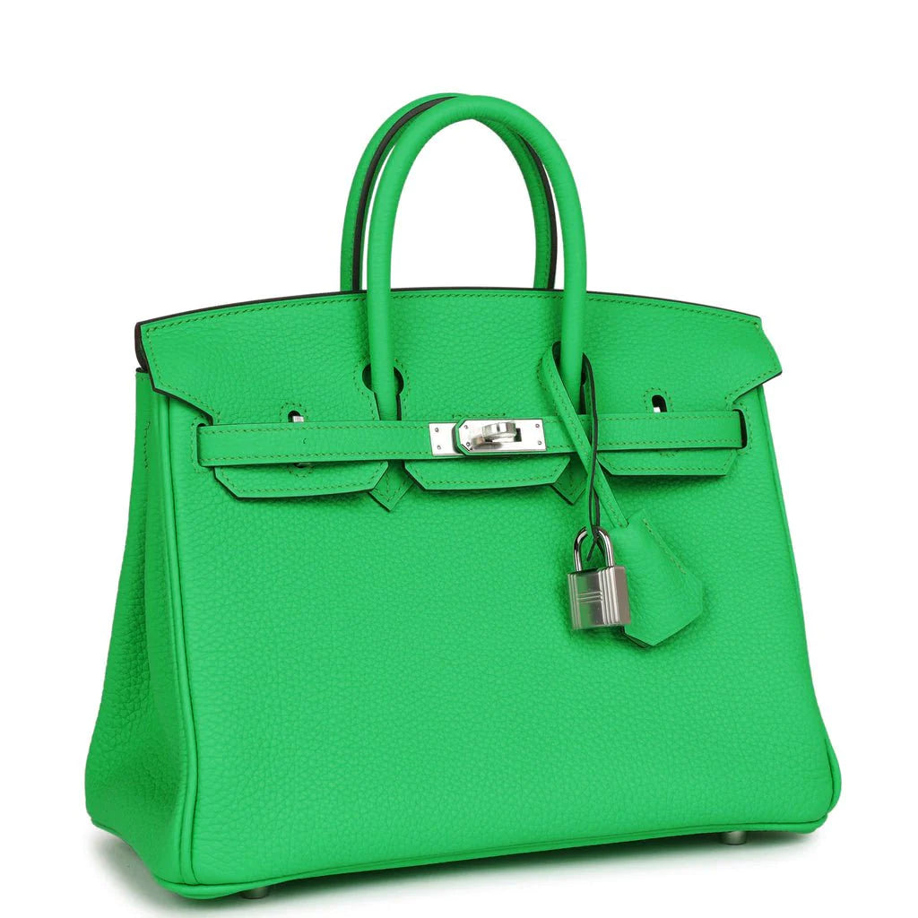 Birkin 25 Togo Palladium Hardware D15040