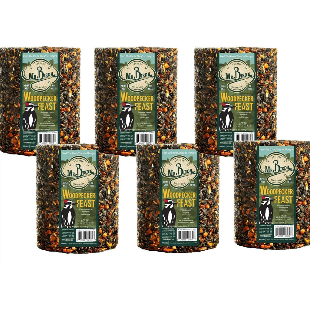 Woodpecker Feast Cylinder O187