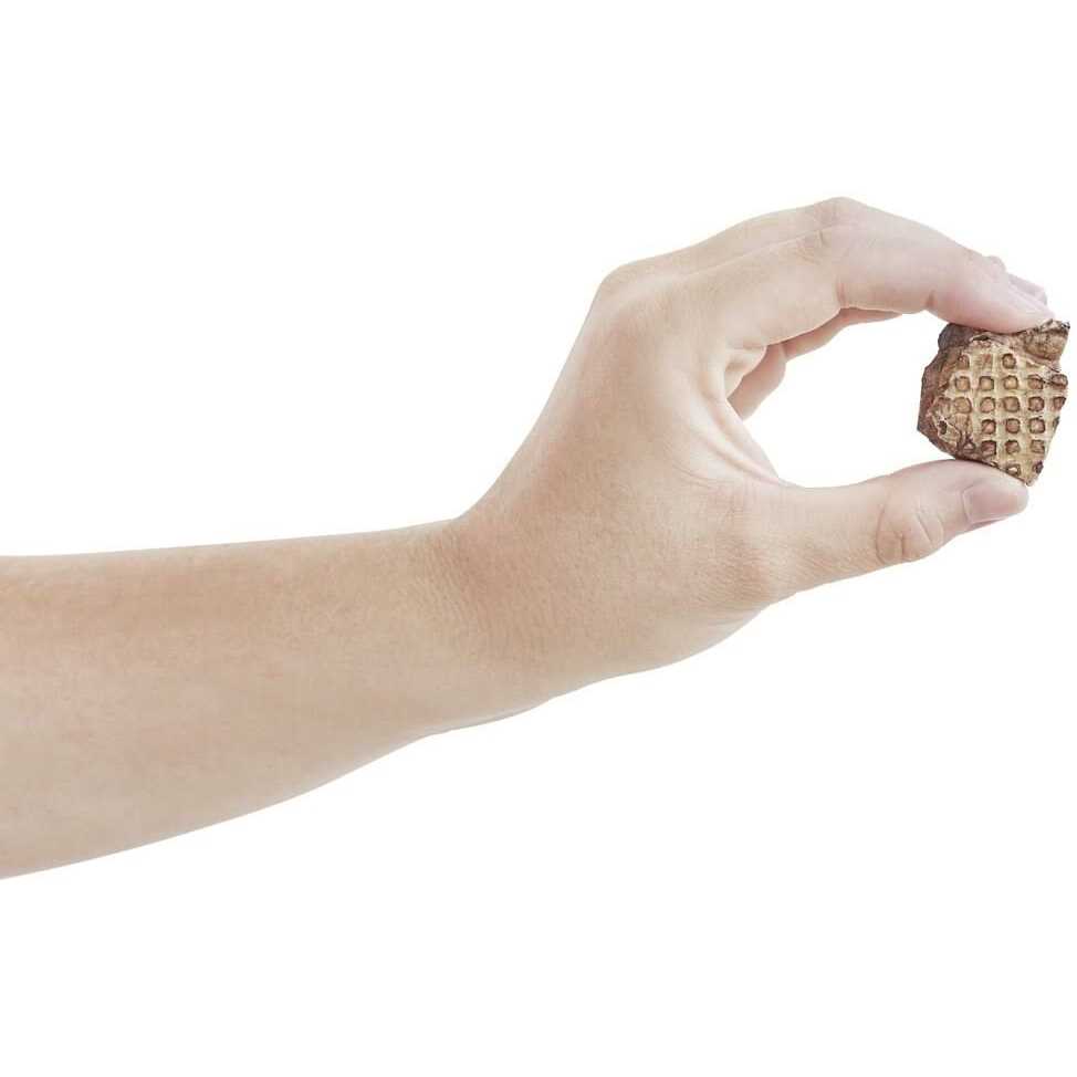 Dehydrated Beef Lung Dog Treats M476