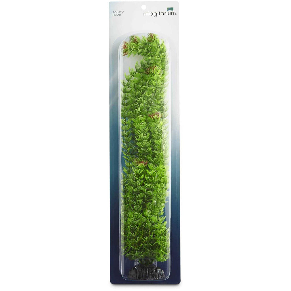 Extra Large Green Plastic Ambulia F257