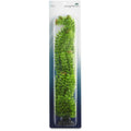 Extra Large Green Plastic Ambulia F257