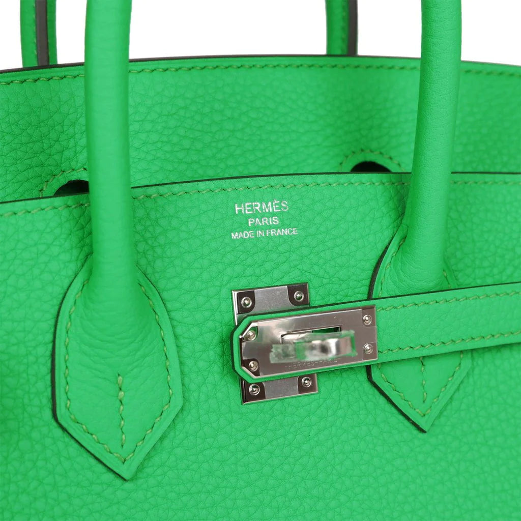 Birkin 25 Togo Palladium Hardware D15040