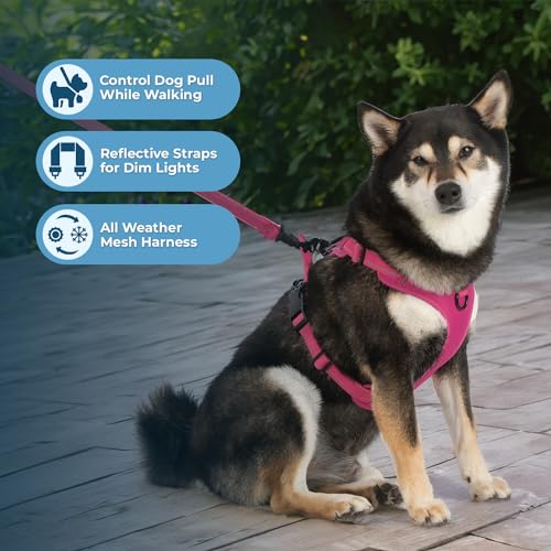 Purple Lattice Adjustable No-Pull Dog Harness P39317