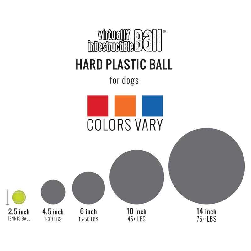 Color Varies 6-in Dog Toy C780052