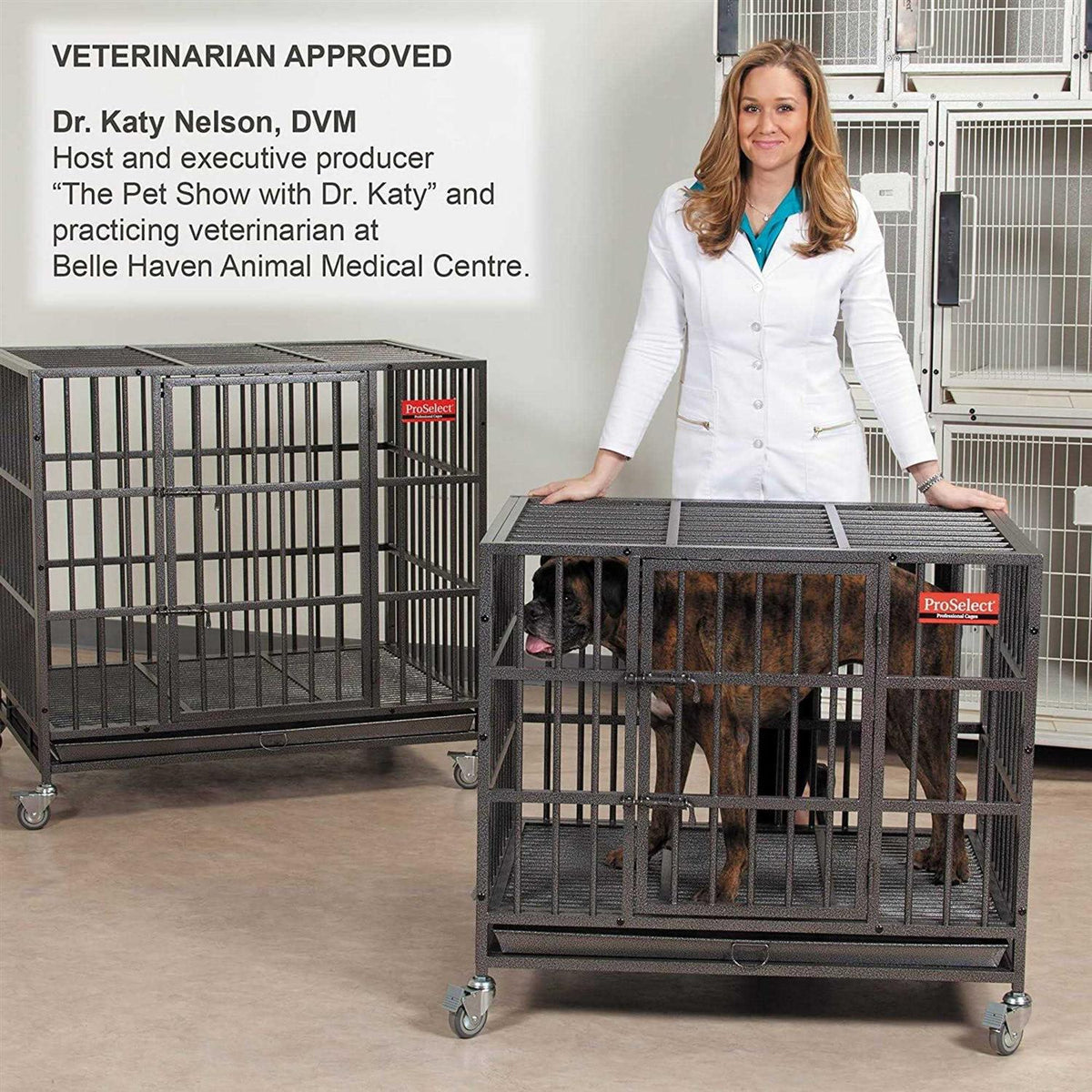 Dog Cage O84340