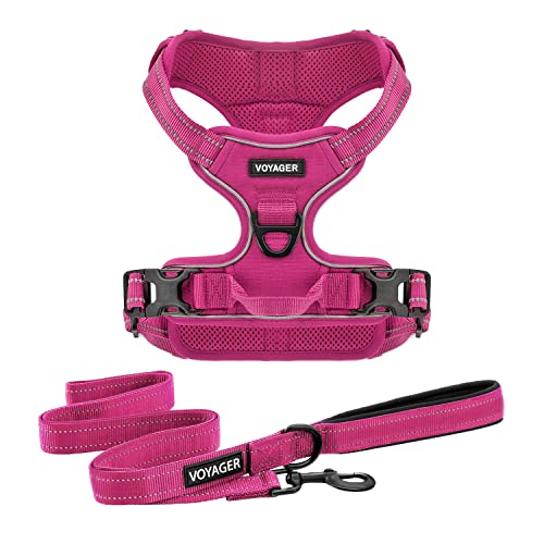 Purple Lattice Adjustable No-Pull Dog Harness P39317