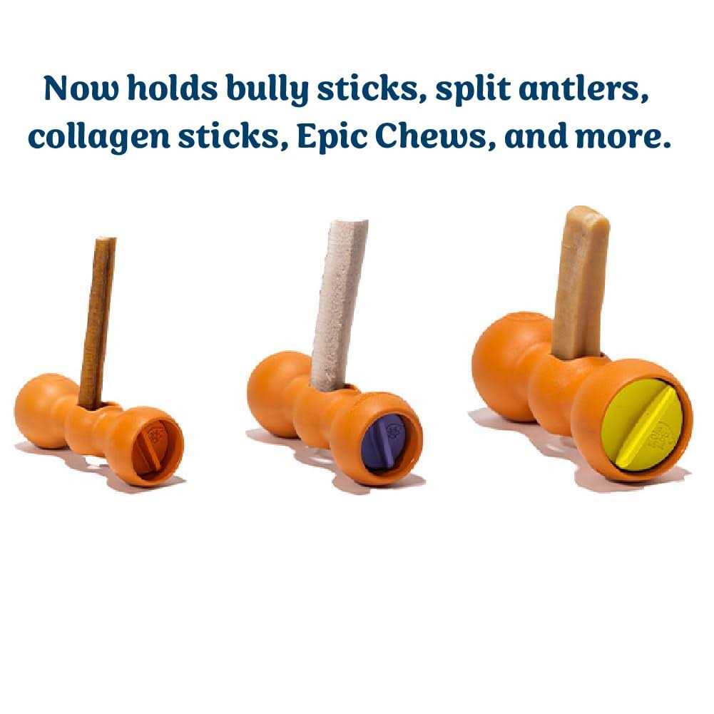 Bully Buddy Bully Stick Holder Starter Kit M930618