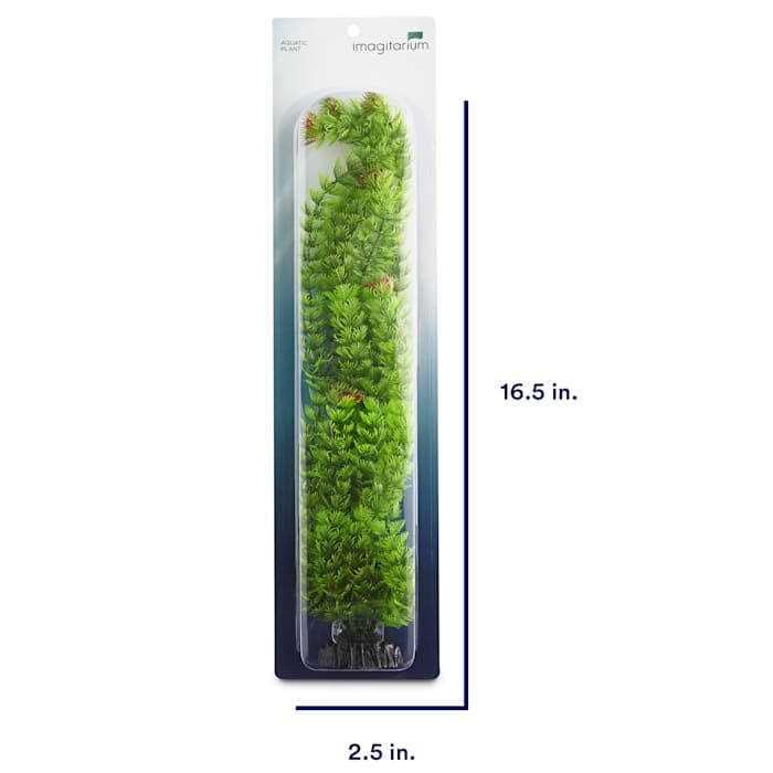 Extra Large Green Plastic Ambulia F257
