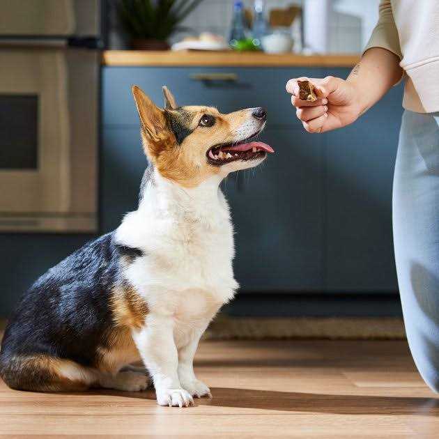 Dehydrated Beef Lung Dog Treats M476