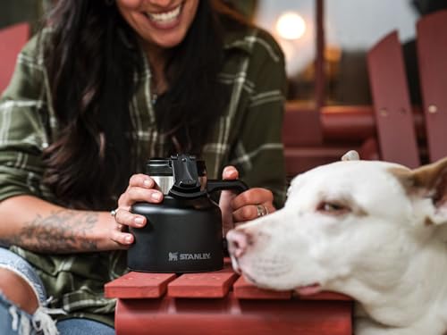 20 oz Insulated Stainless Steel Coffee Cup with Twist-on Lid E4888
