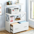 White Modern File Cabinet with Drawer and 2 Shelves B39927