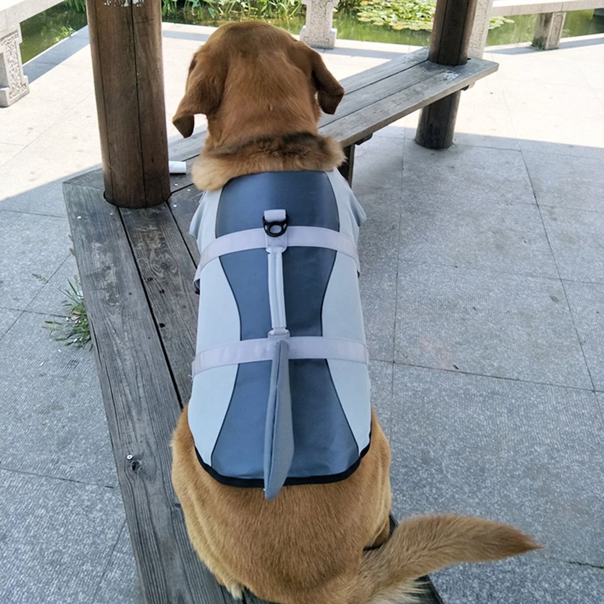 Dog Pet Shark Swimsuit Vest Safety Wear Preserver W705