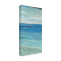 Canvas Art 24x47 X23920