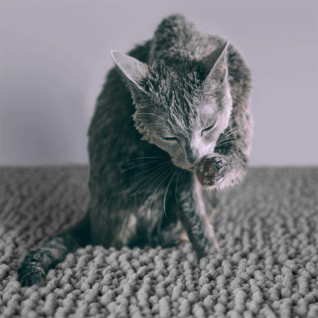 Waterproof Cat Litter Mat Q73673