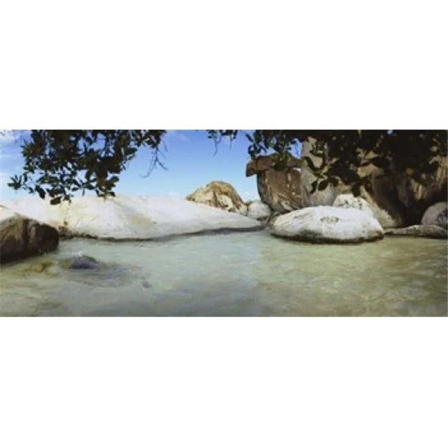 Poster Print 36 x 12 D822936