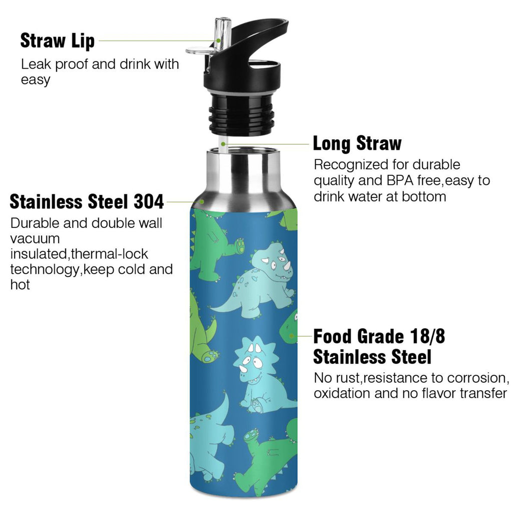 20 OZ Stainless Steel Vacuum Insulated Water Bottle with Straw Lid D42921