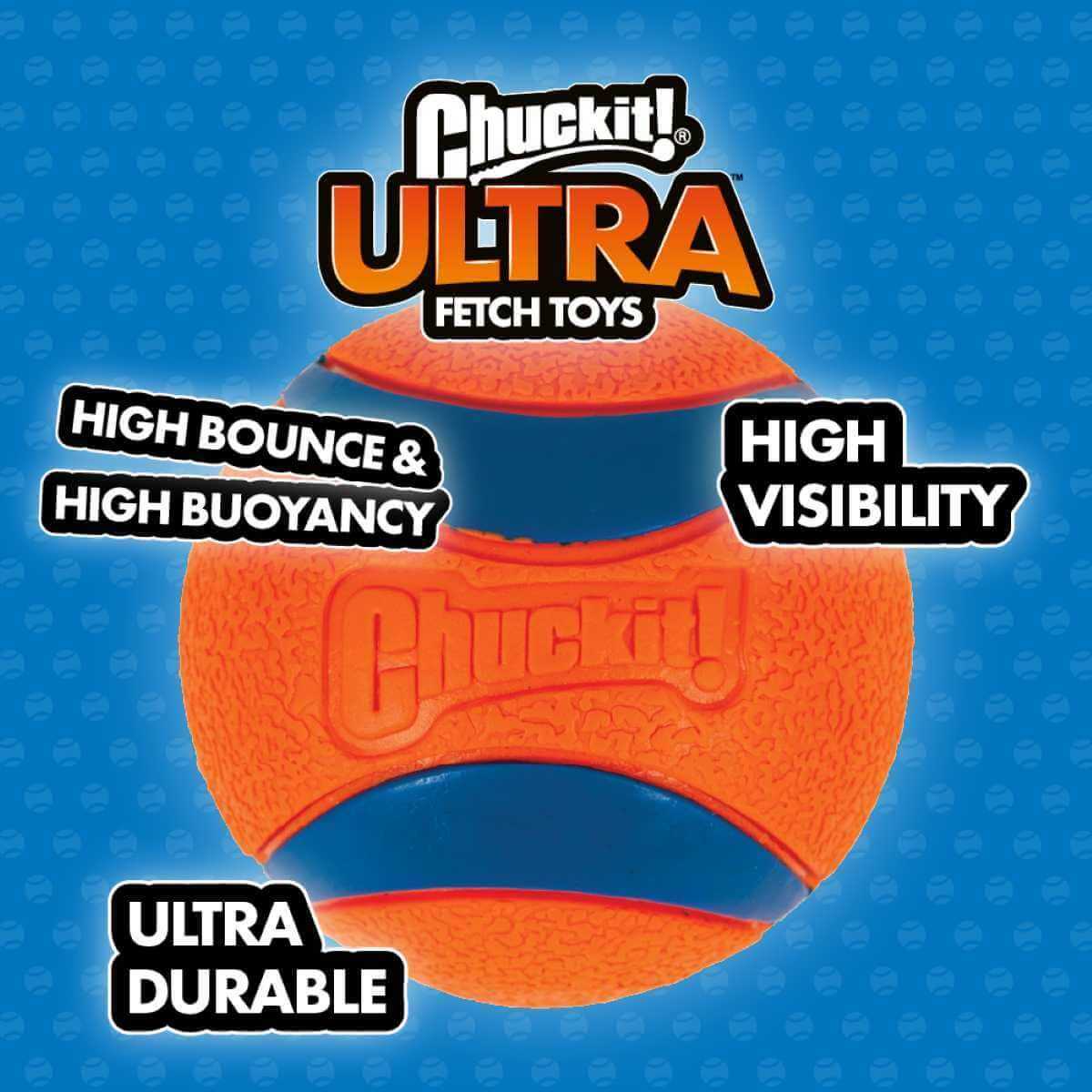 Dog Toy C66627