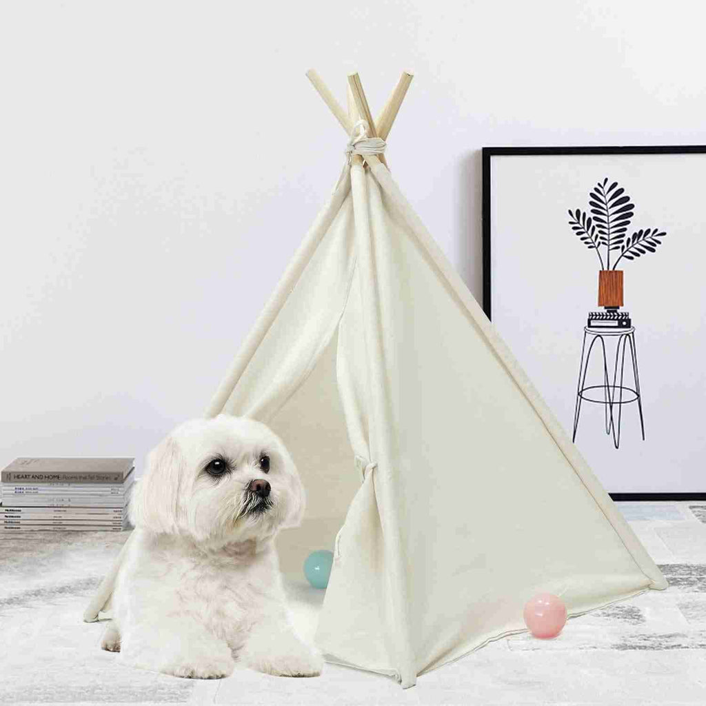 Foldable Cotton Canvas Pet Bed W889409