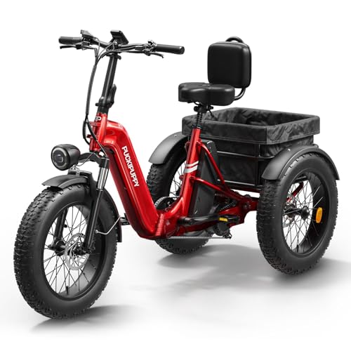 Electric Trike with 750W Motor, 48V 18AH Battery, 20" Fat Tire, Large Basket X123348