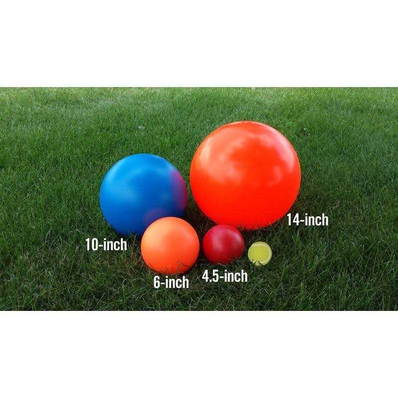 Color Varies 6-in Dog Toy C780052