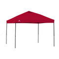 10 x 10 Straight Leg Instant Canopy F743