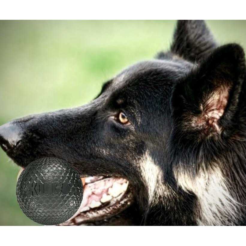 Kong Duramax Ball Dog Toy O150597