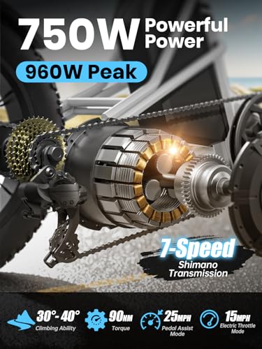 Electric Trike with 750W Motor, 48V 18AH Battery, 20" Fat Tire, Large Basket X123348