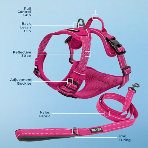Purple Lattice Adjustable No-Pull Dog Harness P39317