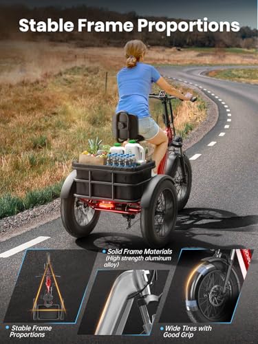 Electric Trike with 750W Motor, 48V 18AH Battery, 20" Fat Tire, Large Basket X123348