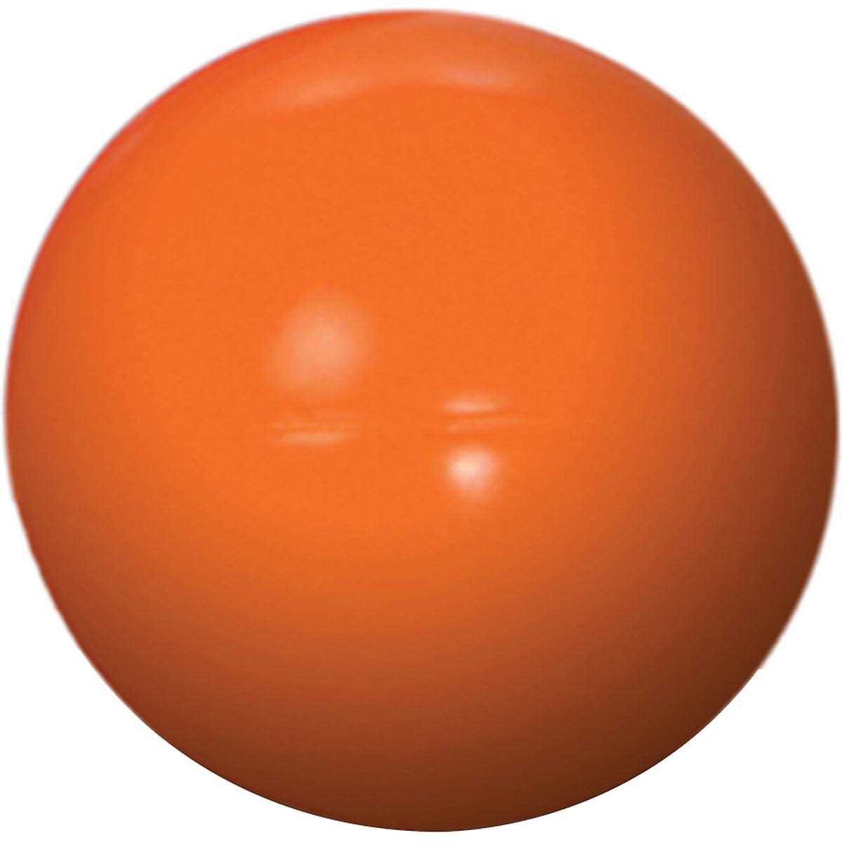 Color Varies 6-in Dog Toy C780052