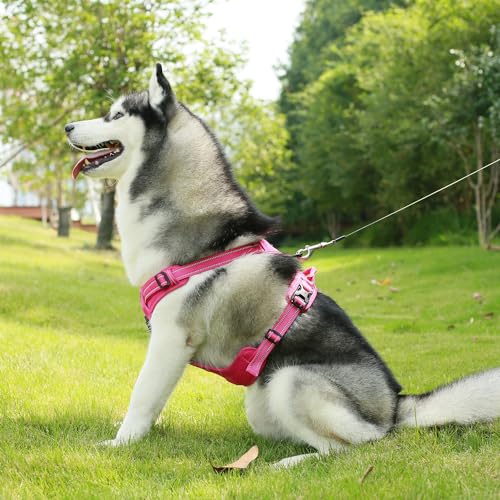 Purple Lattice Adjustable No-Pull Dog Harness P39317