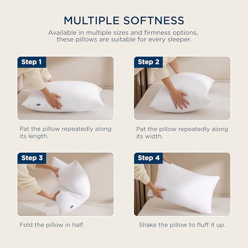 King Size Down Alternative Pillows Set of 2 N474