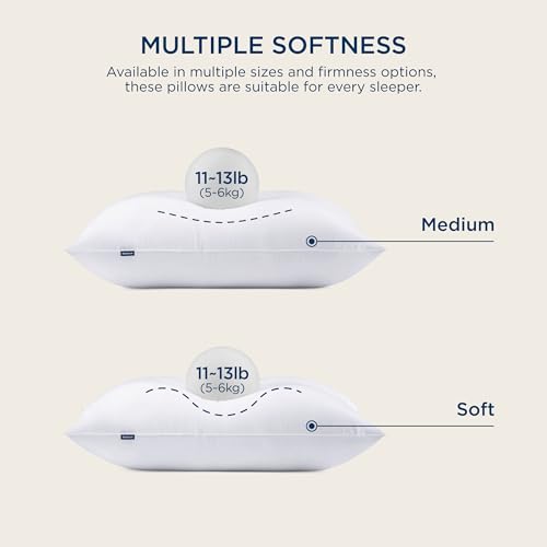 King Size Down Alternative Pillows Set of 2 N474