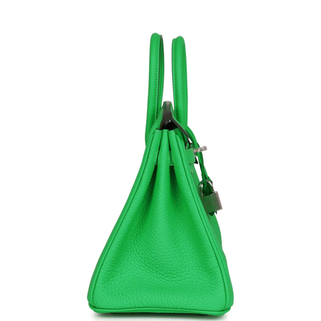 Birkin 25 Togo Palladium Hardware D15040