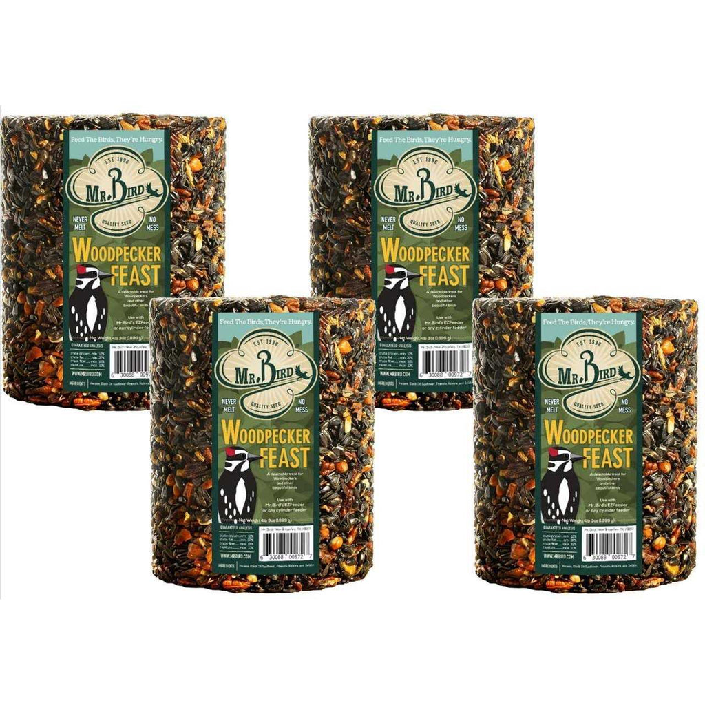 Woodpecker Feast Cylinder O187
