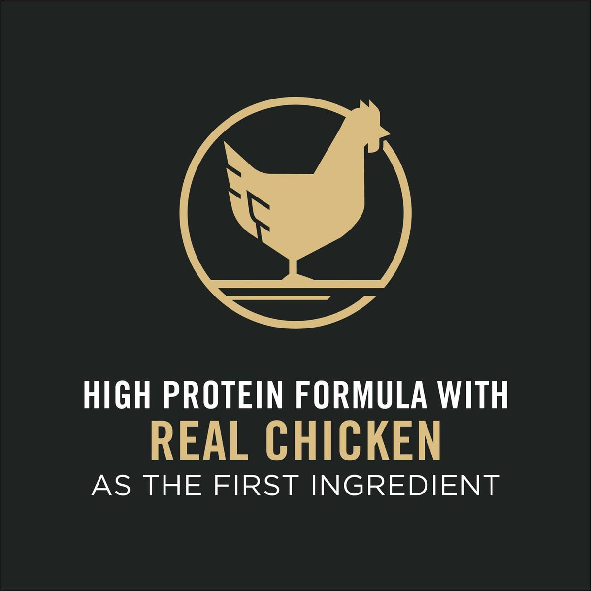 Adult Dog Food Shredded Blend Chicken Rice Formula I7333