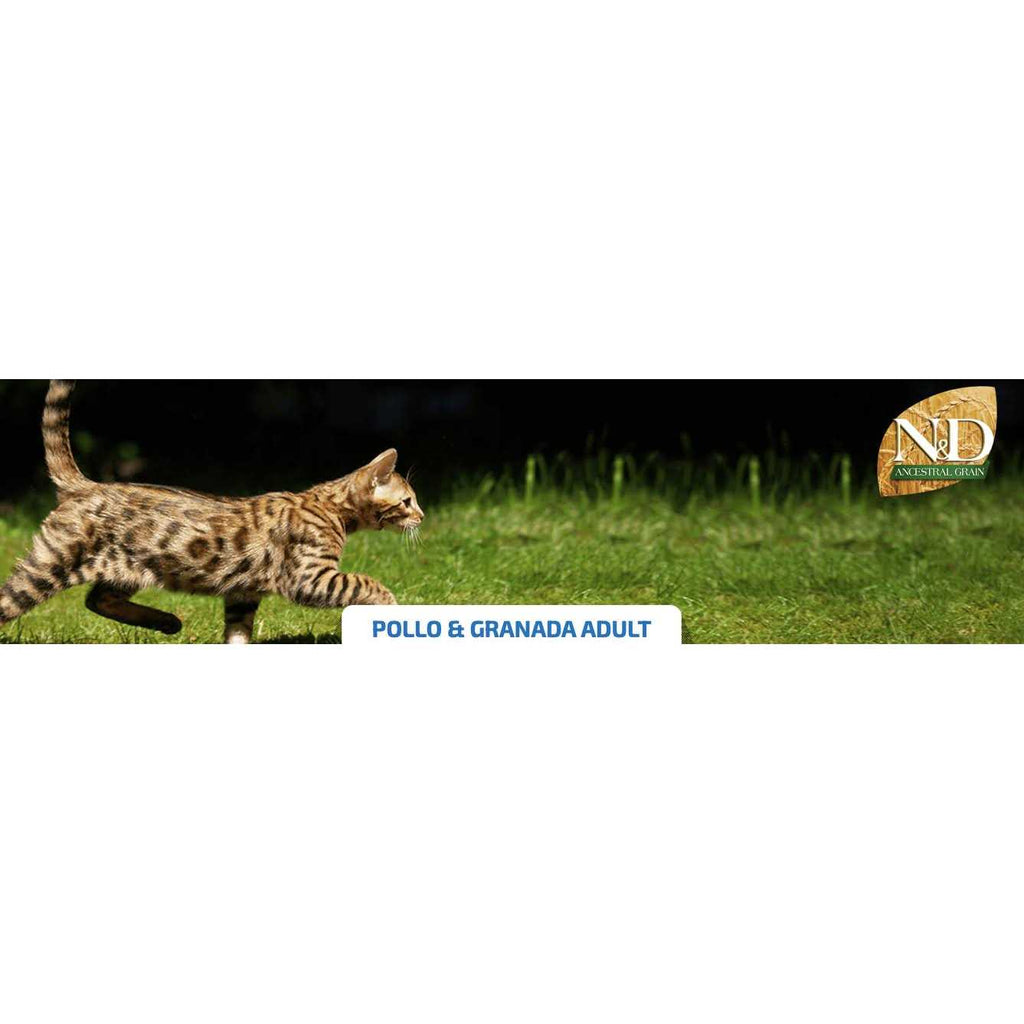 Chicken & Pomegranate Adult Dry Cat Food M3270