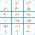 Puzzle Set W907620