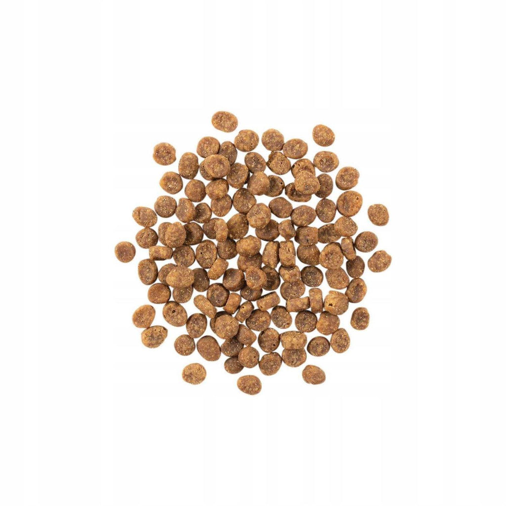Limited Ingredient Duck Recipe Dry Cat Food N366