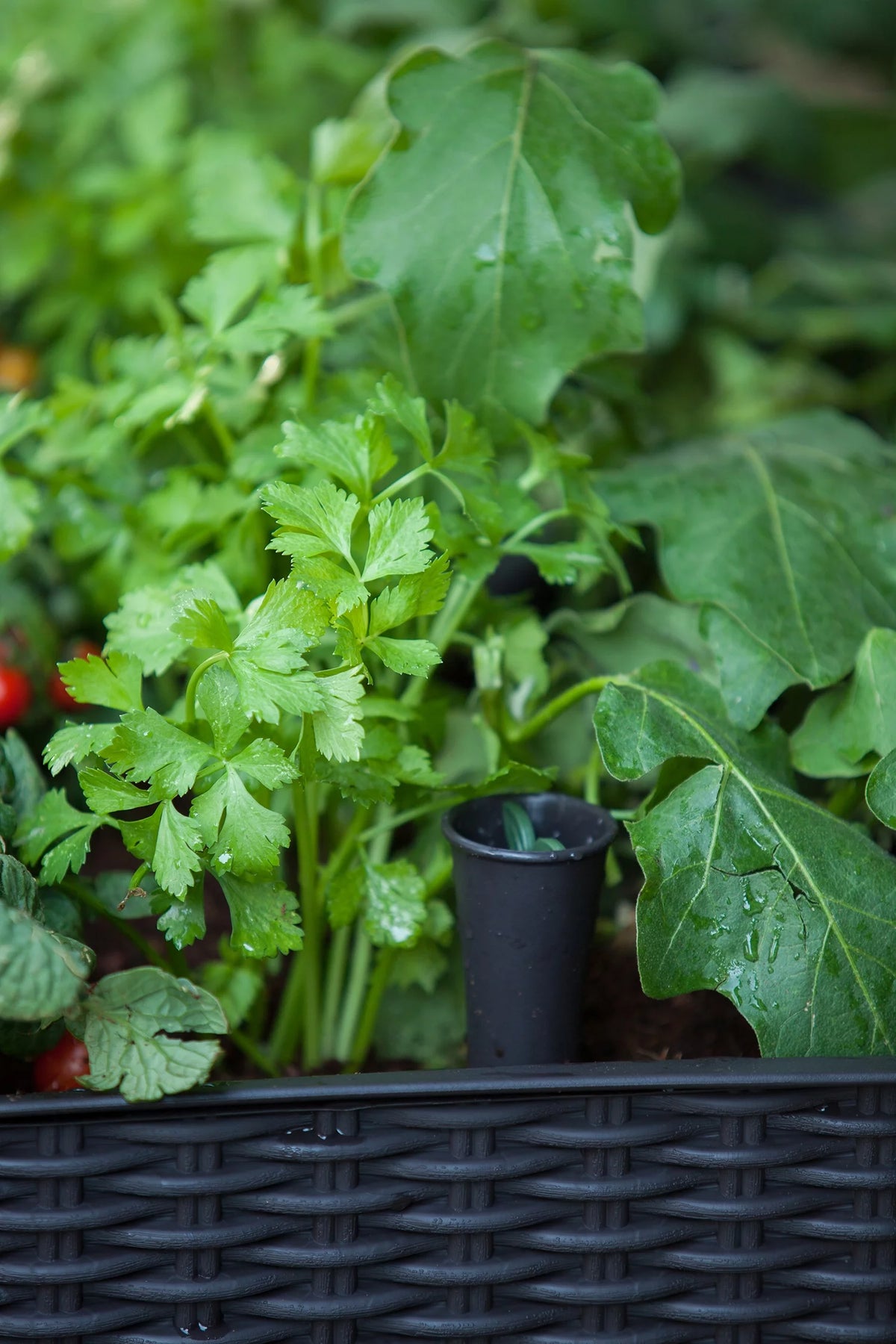 Raised Garden Bed with Self-Watering and Drainage System Z97242