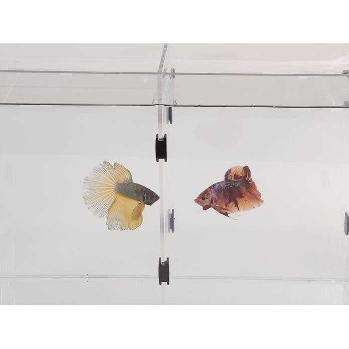Aquarium Dividers A62802
