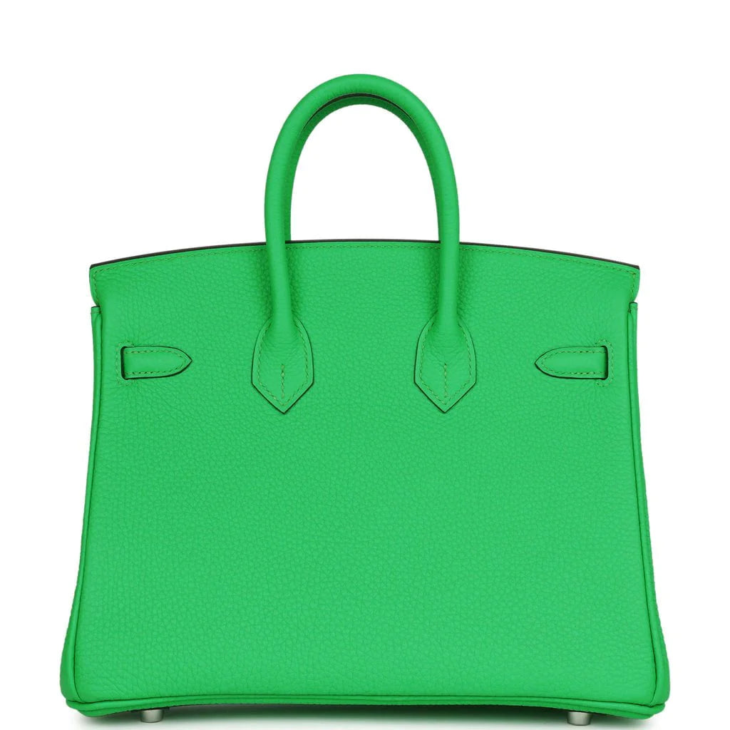 Birkin 25 Togo Palladium Hardware D15040