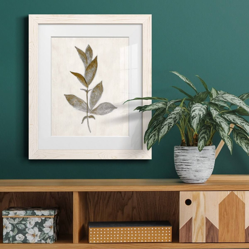 Walnut Framed Print I33156