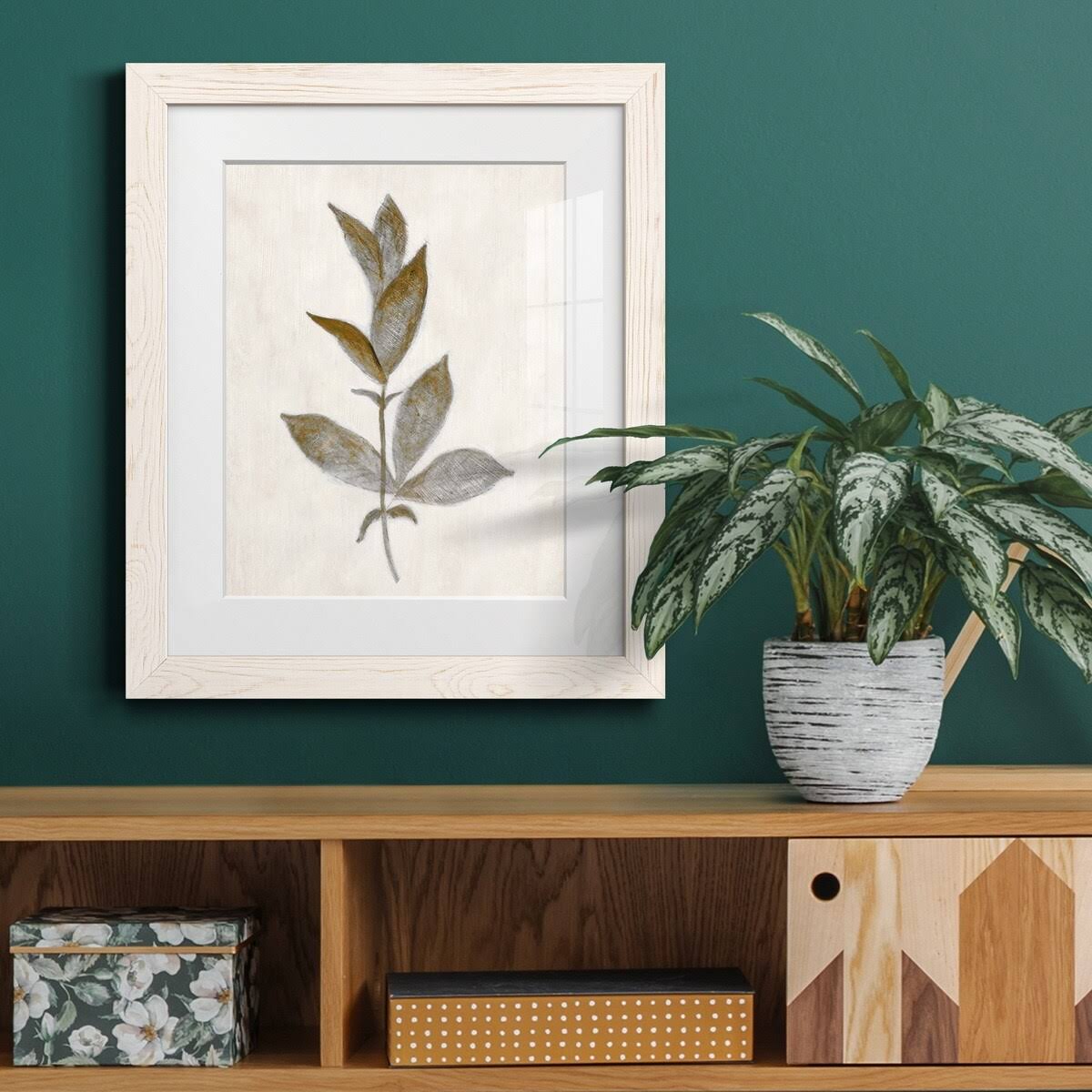 Walnut Framed Print I33156