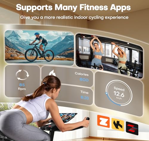 Adjustable Magnetic Resistance Stationary Bike 300LB Weight Capacity S903