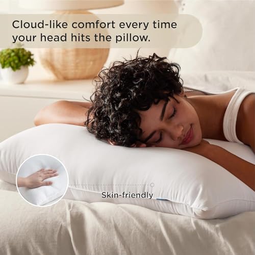 King Size Down Alternative Pillows Set of 2 N474