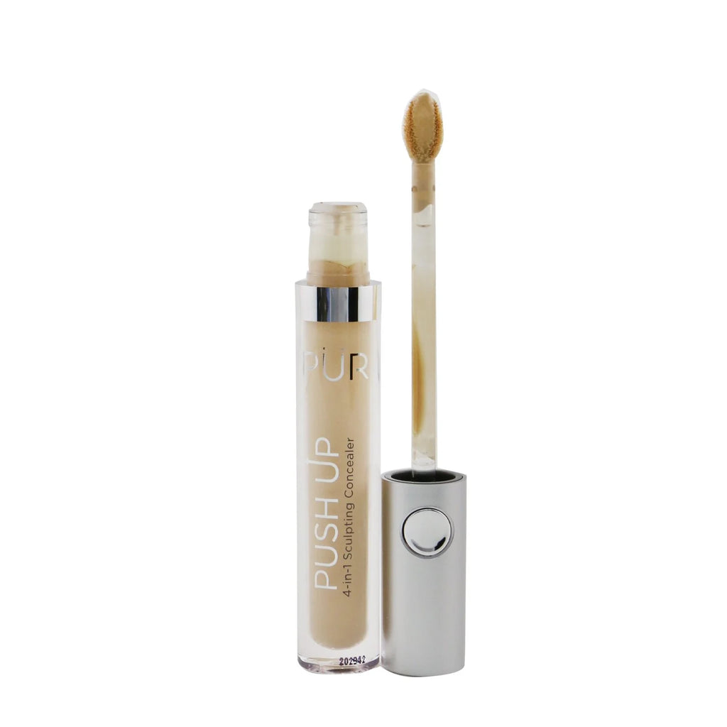 Push Up 4 in 1 Sculpting Concealer X449