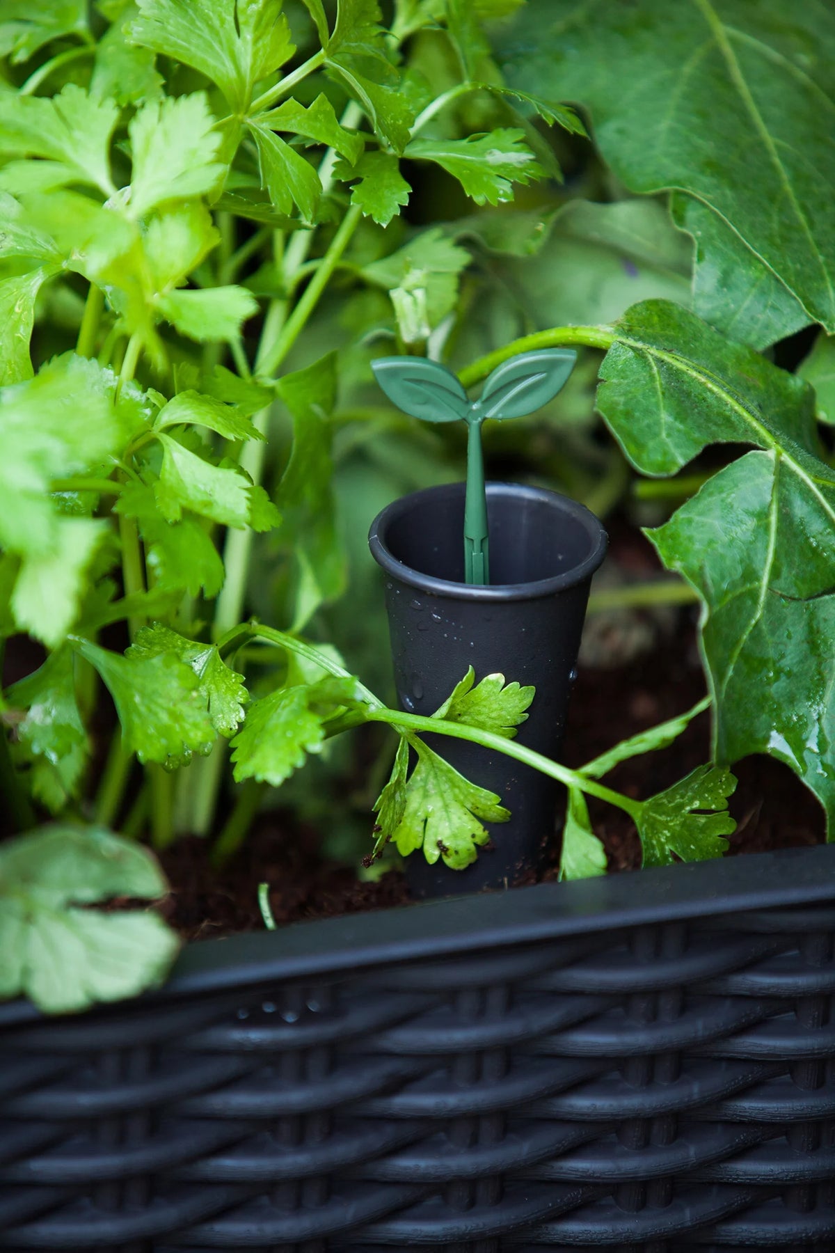 Raised Garden Bed with Self-Watering and Drainage System Z97242