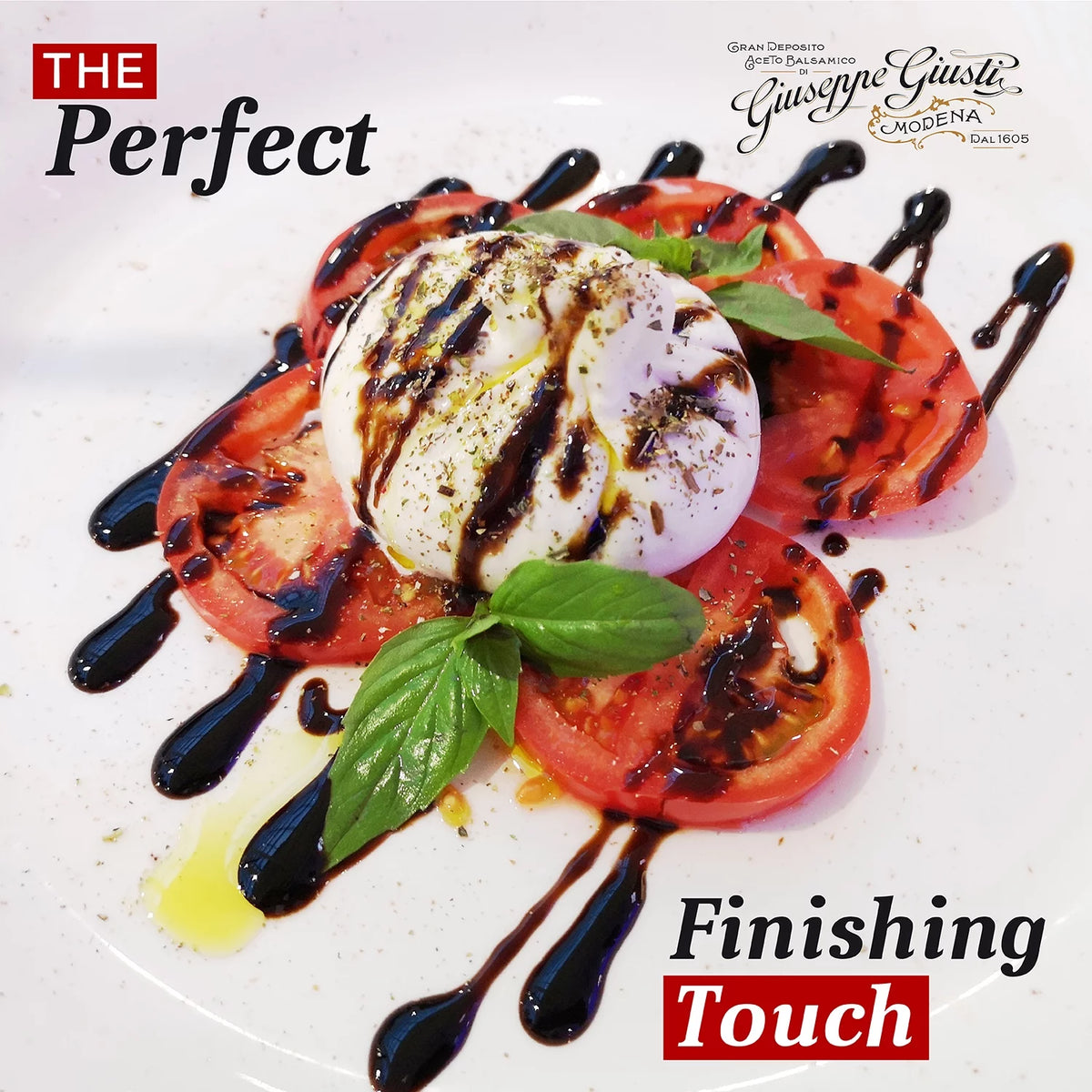 Italian Balsamic Wine Vinegar Y4217