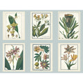 Blue Botany Wallpaper L1238